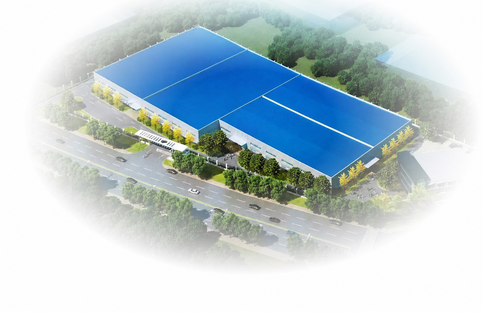 Company Profile